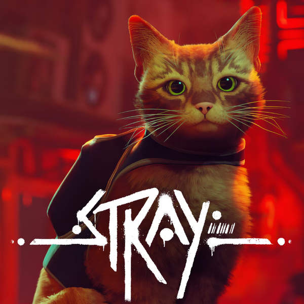 Stray